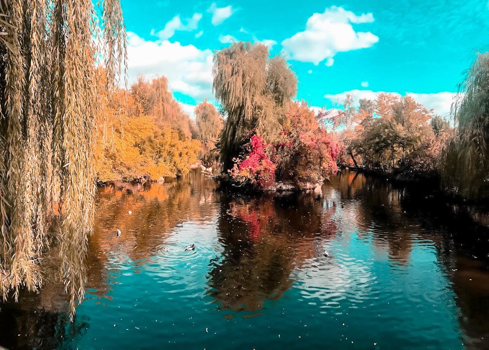 Photograph by Roberto Luigi