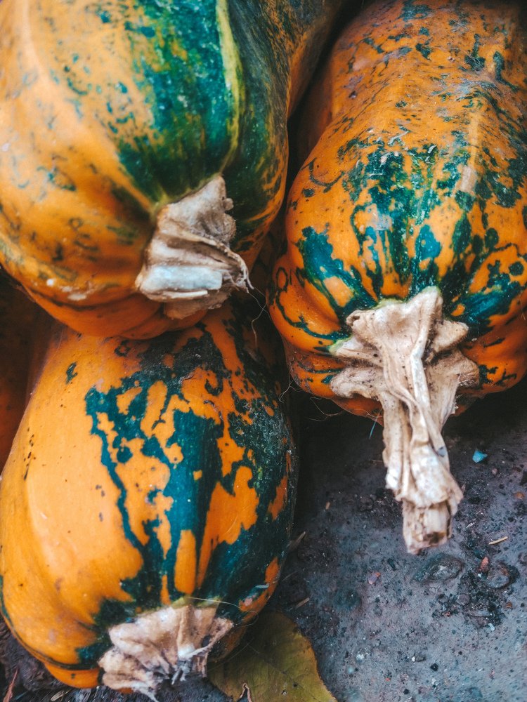 Photograph by Татьяна Телешенко