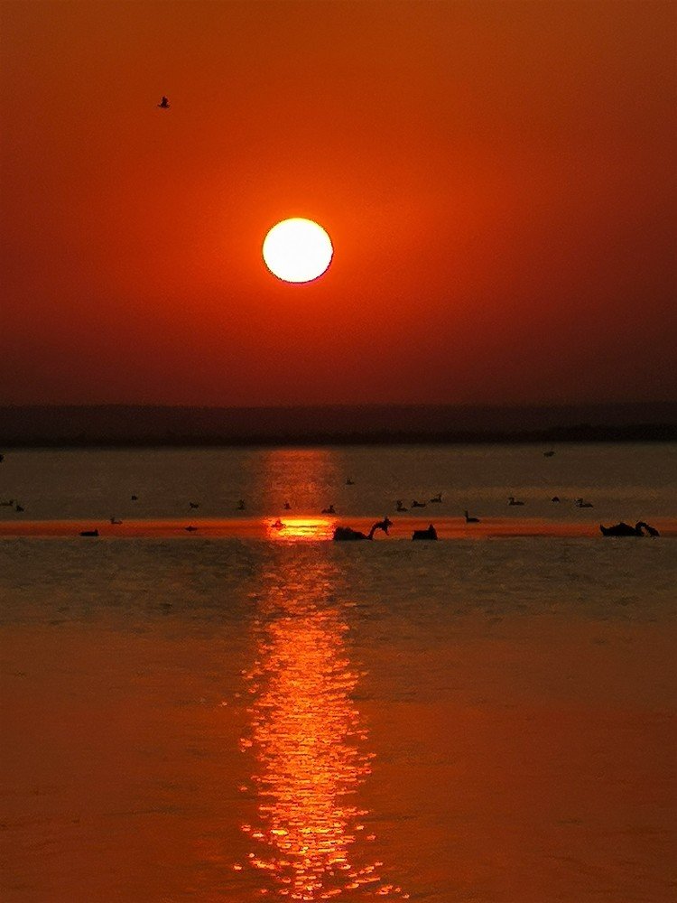 Photograph by Данаил Димов