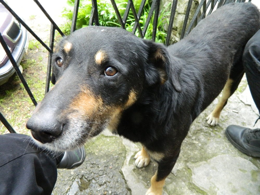 Photograph by Сергей Рапопорт