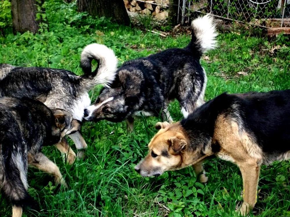 Photograph by Сергей Рапопорт