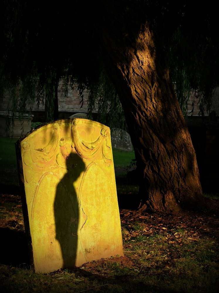 Photograph by David Alexander Barnett