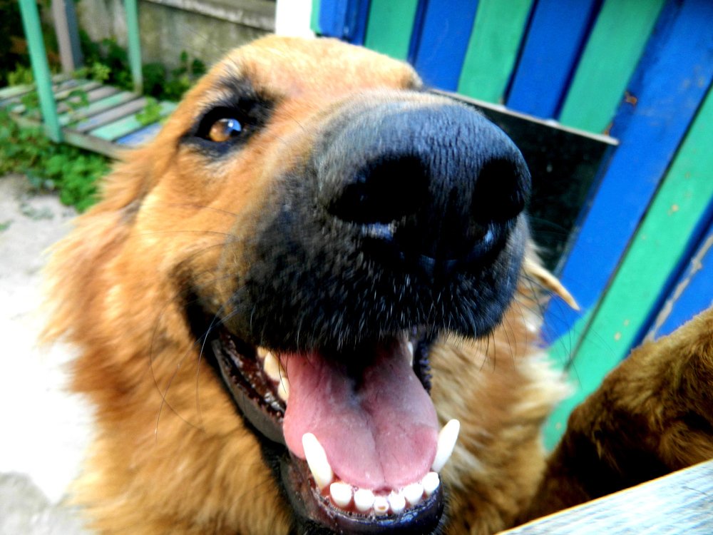 Photograph by Сергей Рапопорт