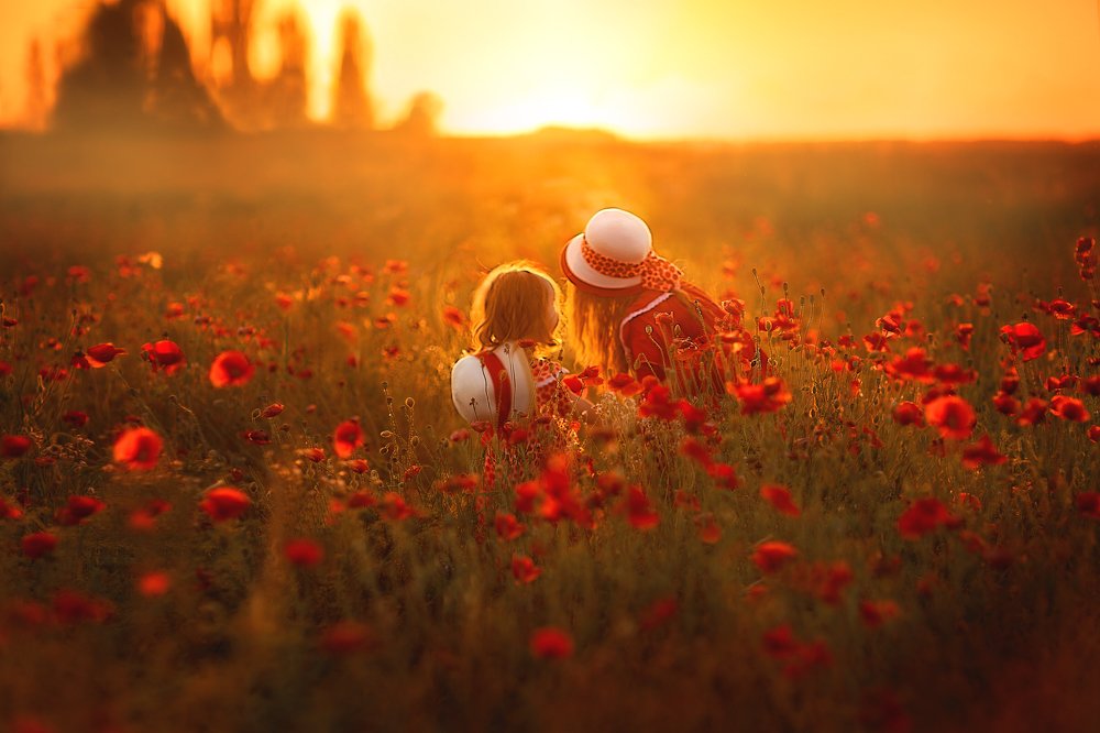 Девочки в маковом поле