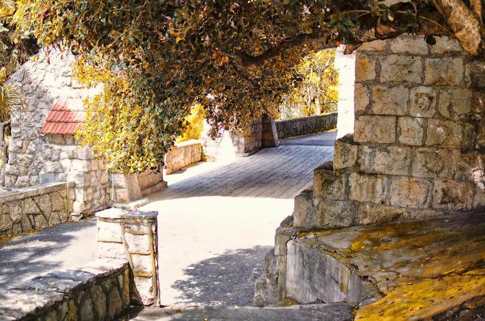 Photograph by Синегубова Ольга