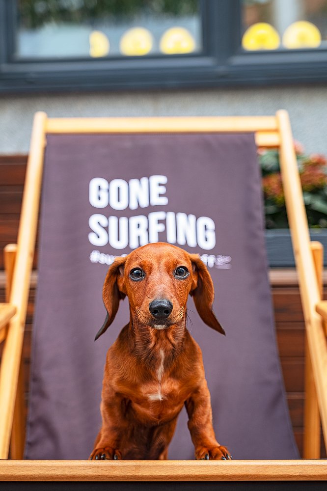 Фотография автора Владимир Эделев