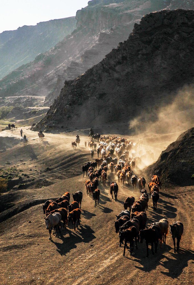 Перегон табуна..