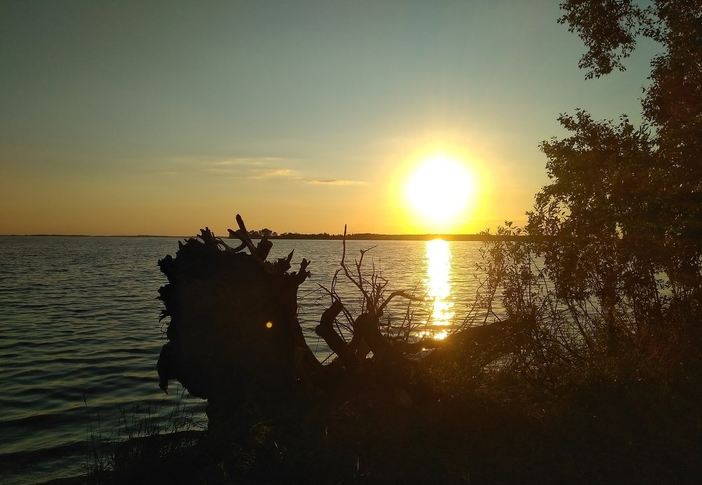 Photograph by Людмила Фризен