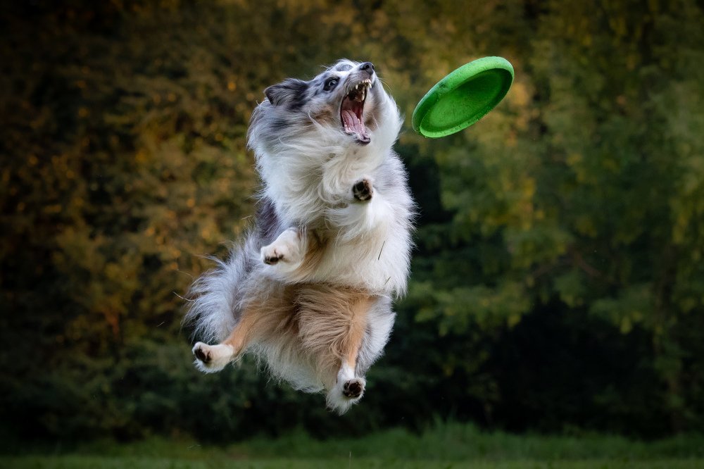 Photograph by Misha Lukianov