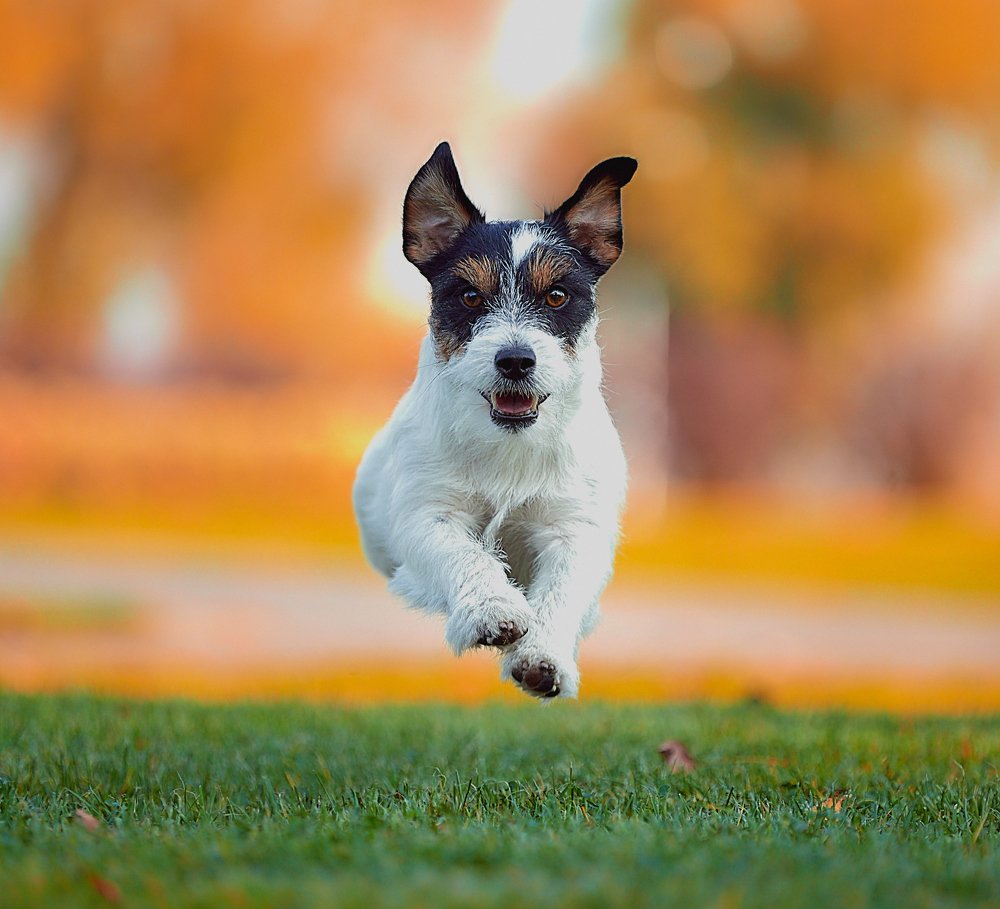 Run like a wind to your happiness