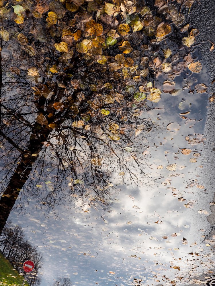 Photograph by Сергей Гаврилов