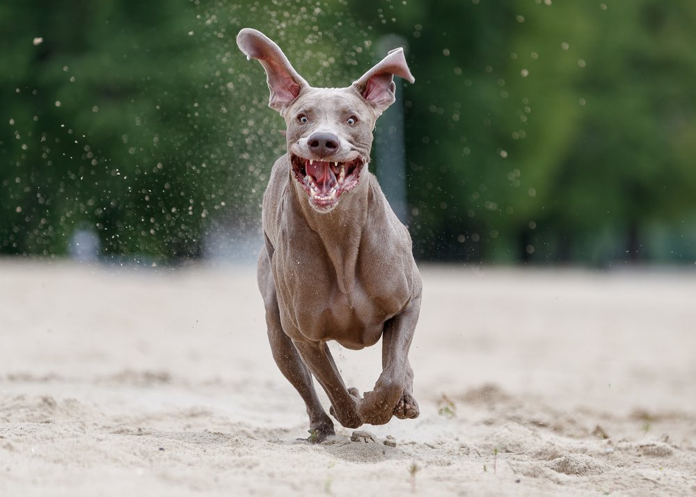 Photograph by Misha Lukianov