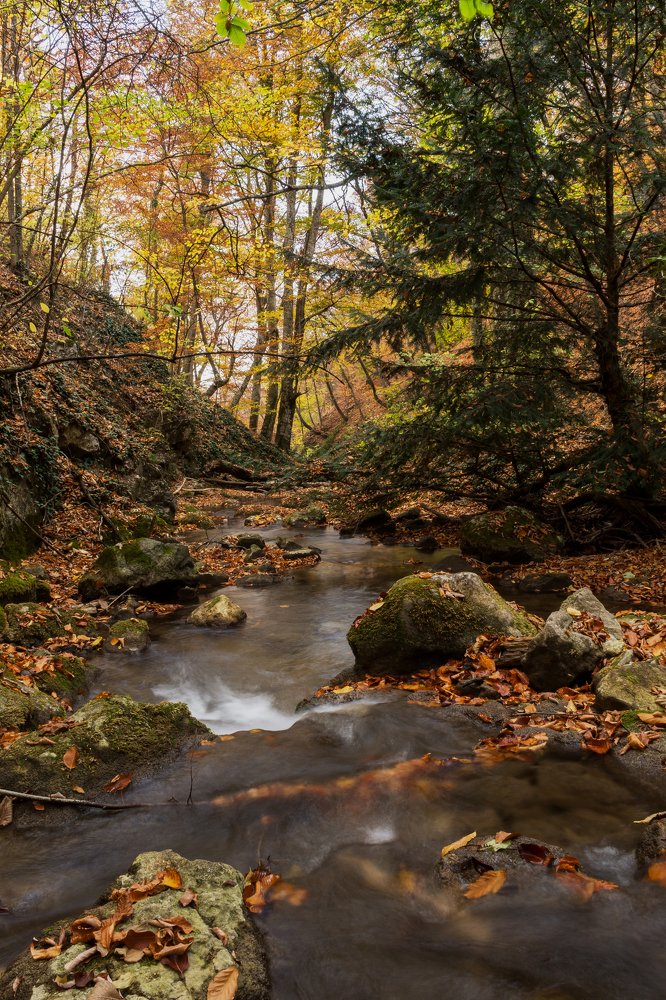 Горные реки Крыма