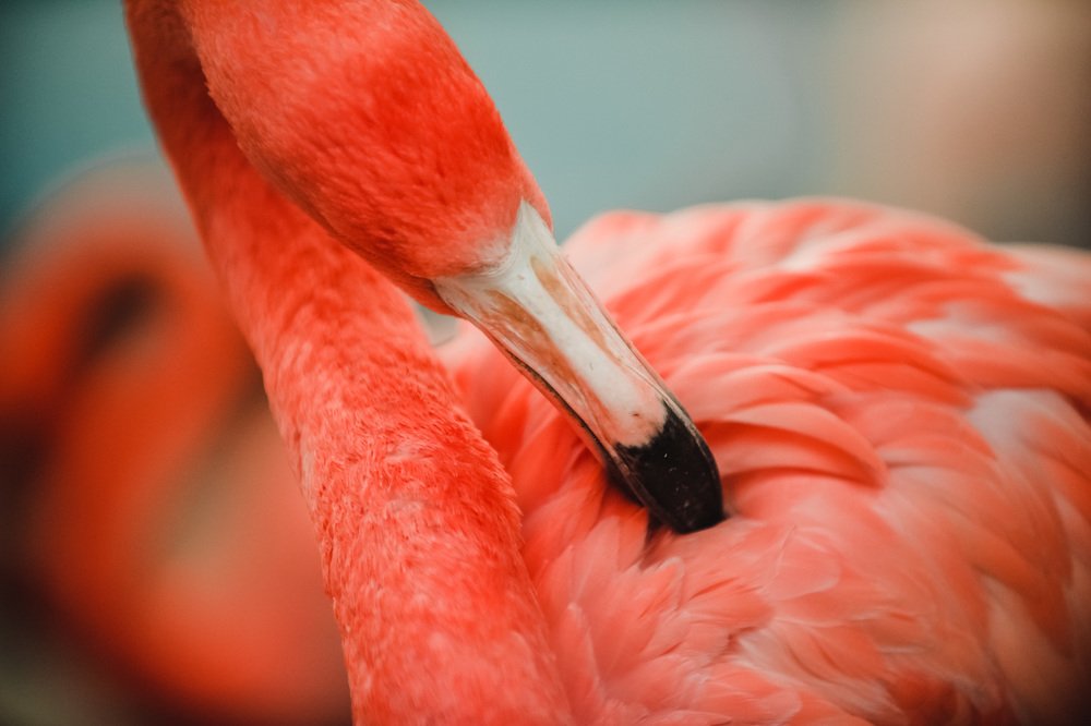 Фотография автора Паша Петров