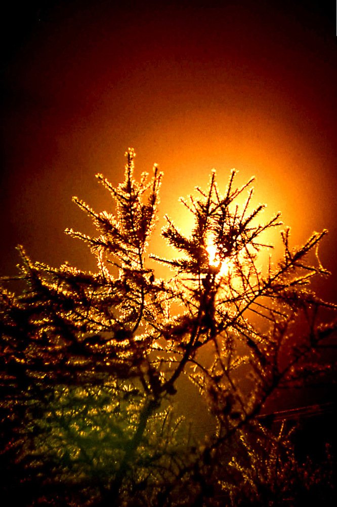 Часы пробили 12