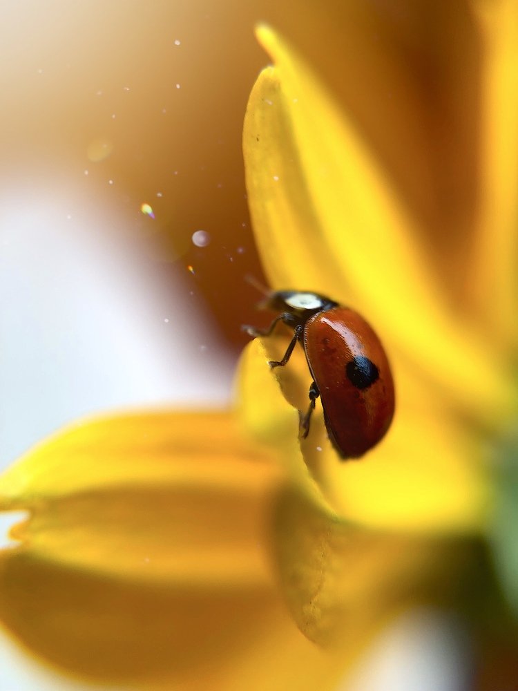 Photograph by Екатерина Безуглова