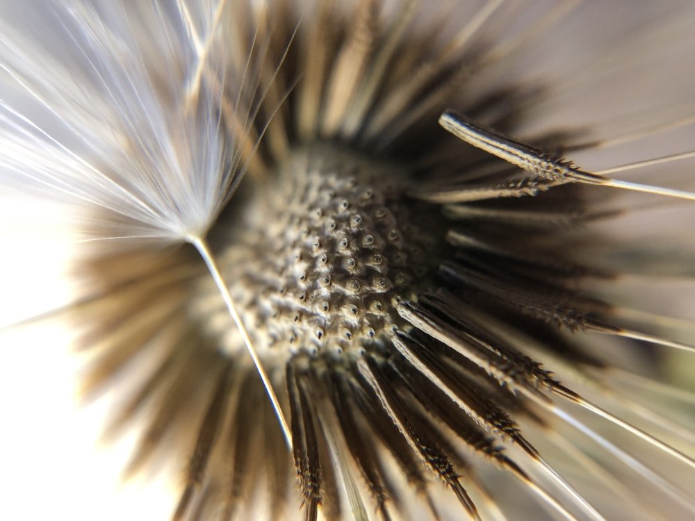 Photograph by Екатерина Безуглова