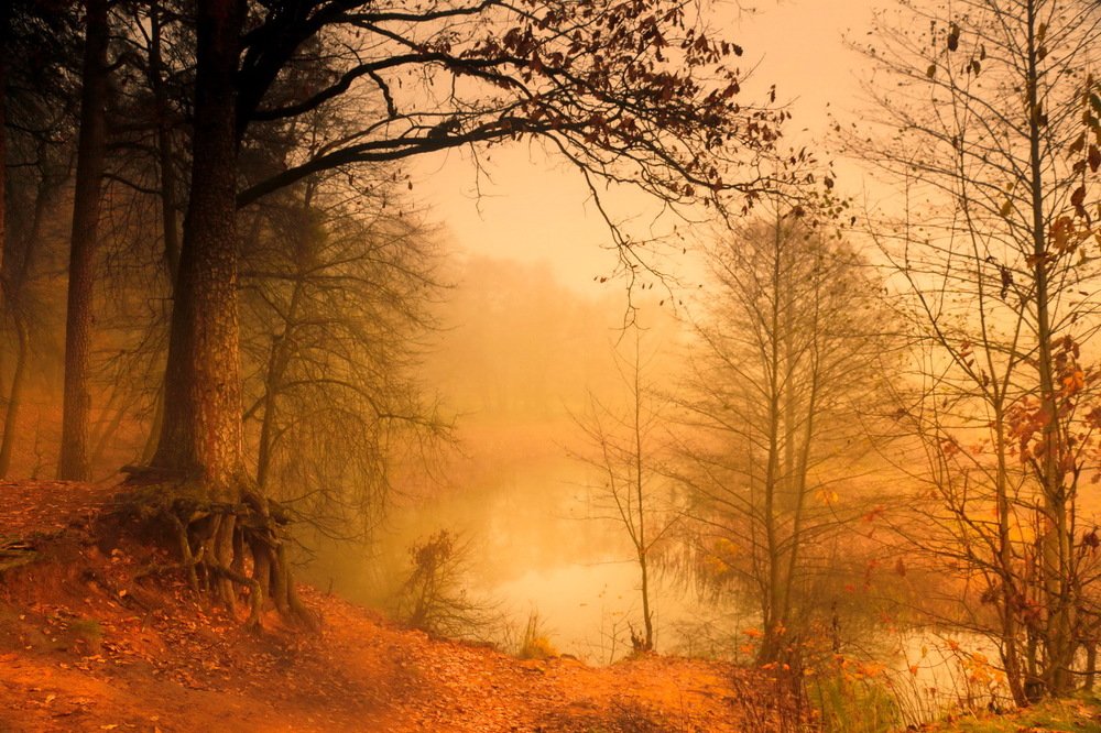 Photograph by Валерий Козуб