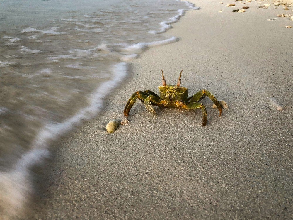 Photograph by Karen Khachaturyants