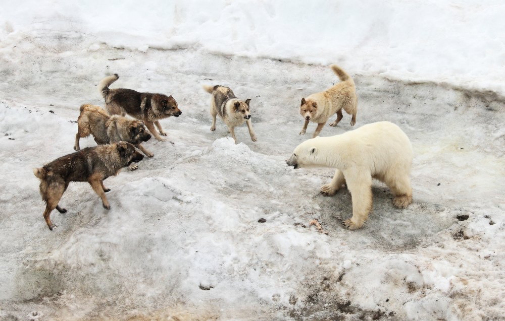 Photograph by Vladimir Melnik