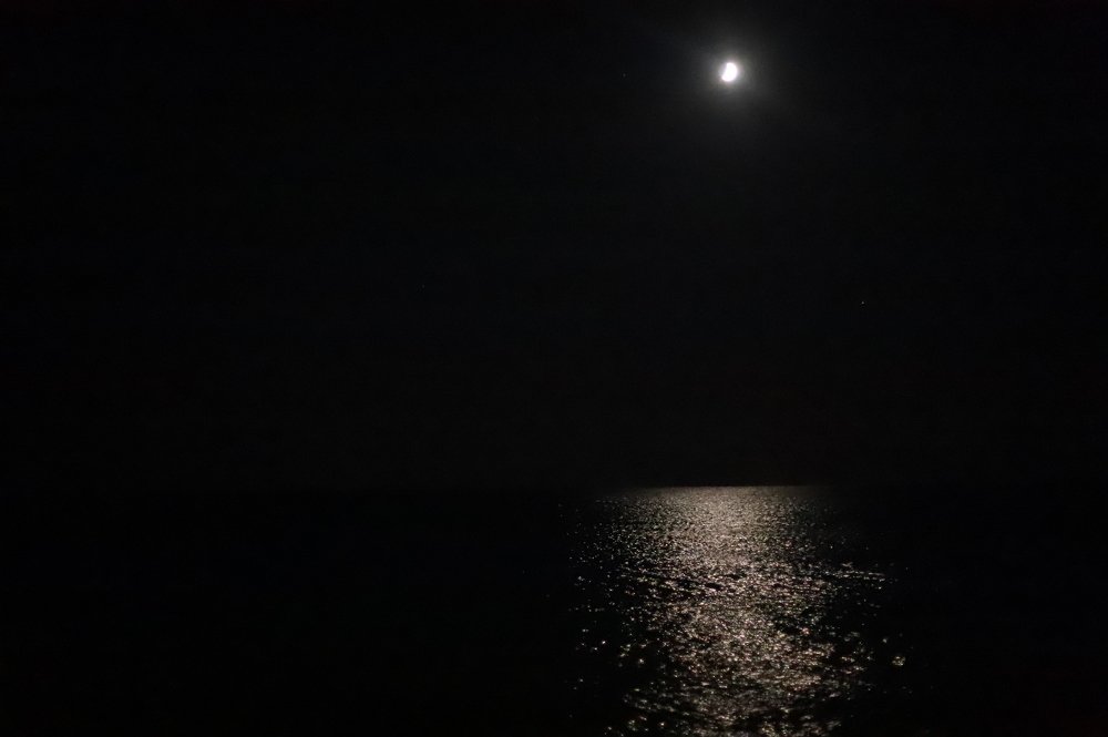 Photograph by Марфа Борисова