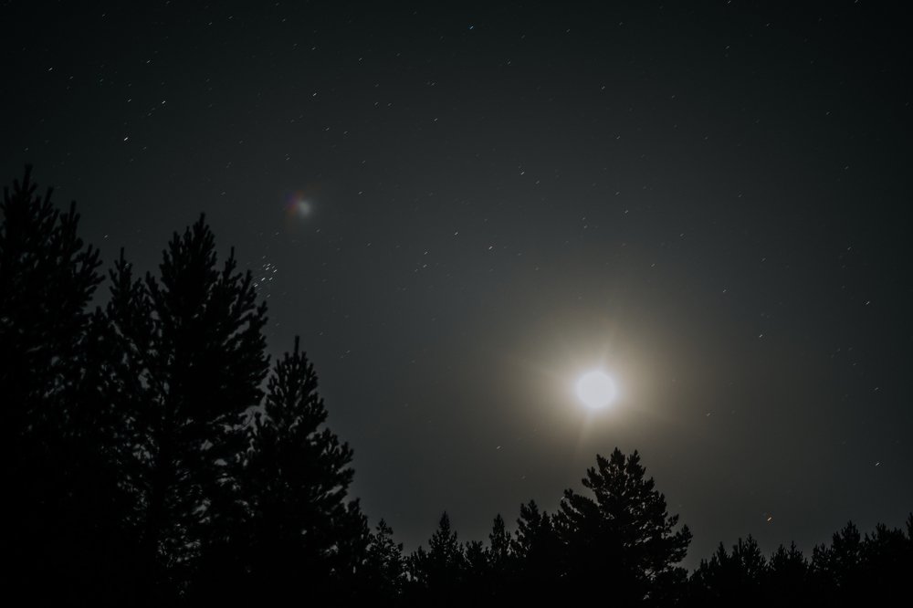 Photograph by Диана Оленина