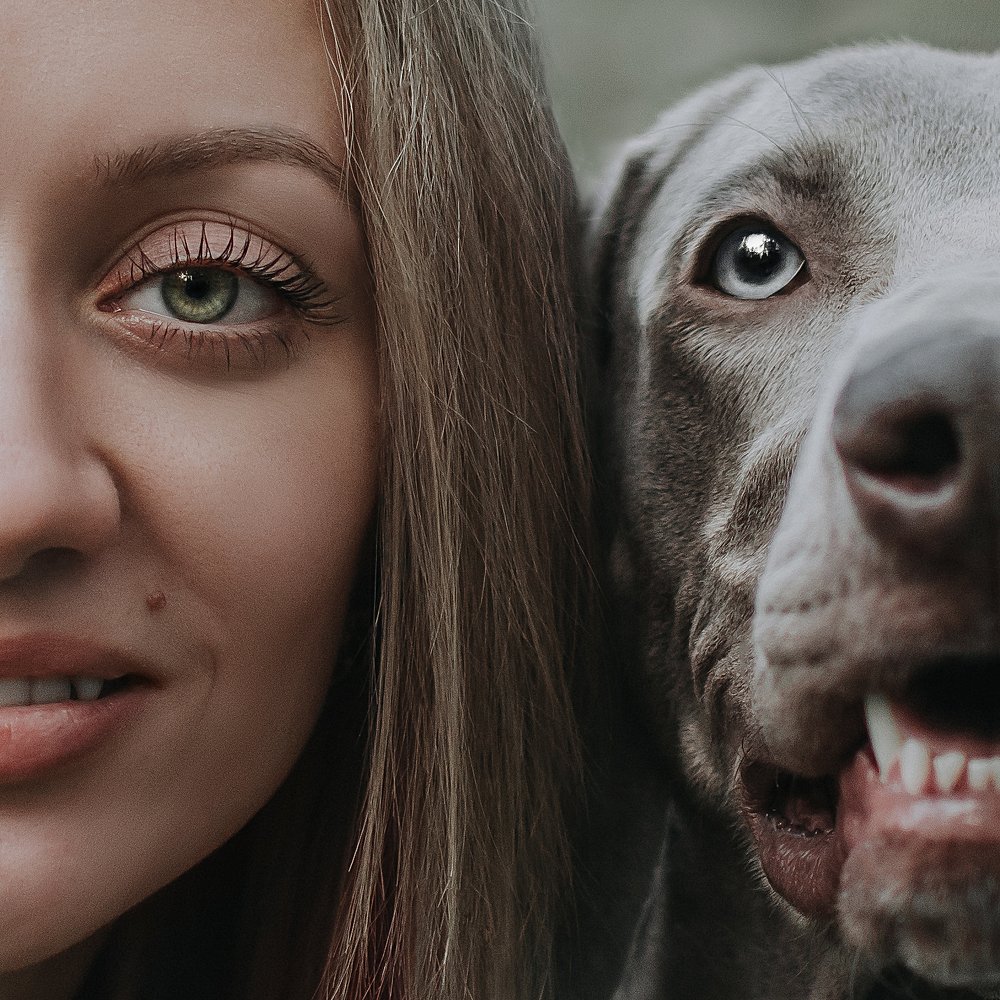 Photograph by Диана Оленина