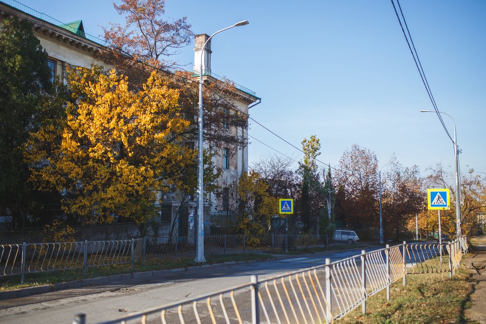 Photograph by Елена Шпагина