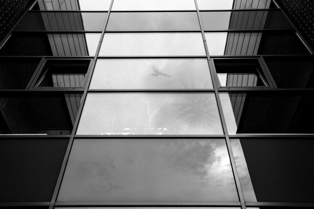 Photograph by Anna Piwowarska-Sosik