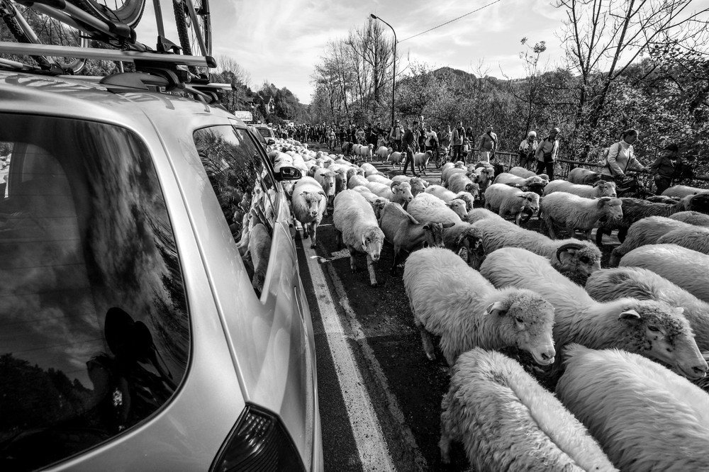 Photograph by Anna Piwowarska-Sosik