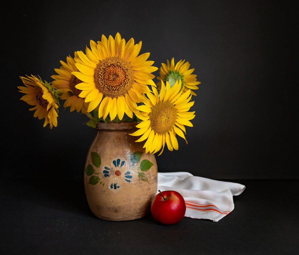 Photograph by Balog Zsuzsa