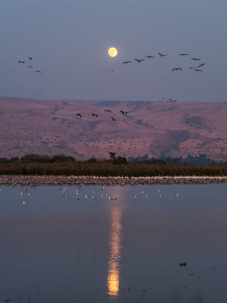 Photograph by Iryna Gurzhuyenko