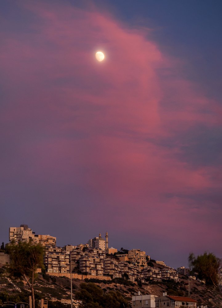 Photograph by Iryna Gurzhuyenko