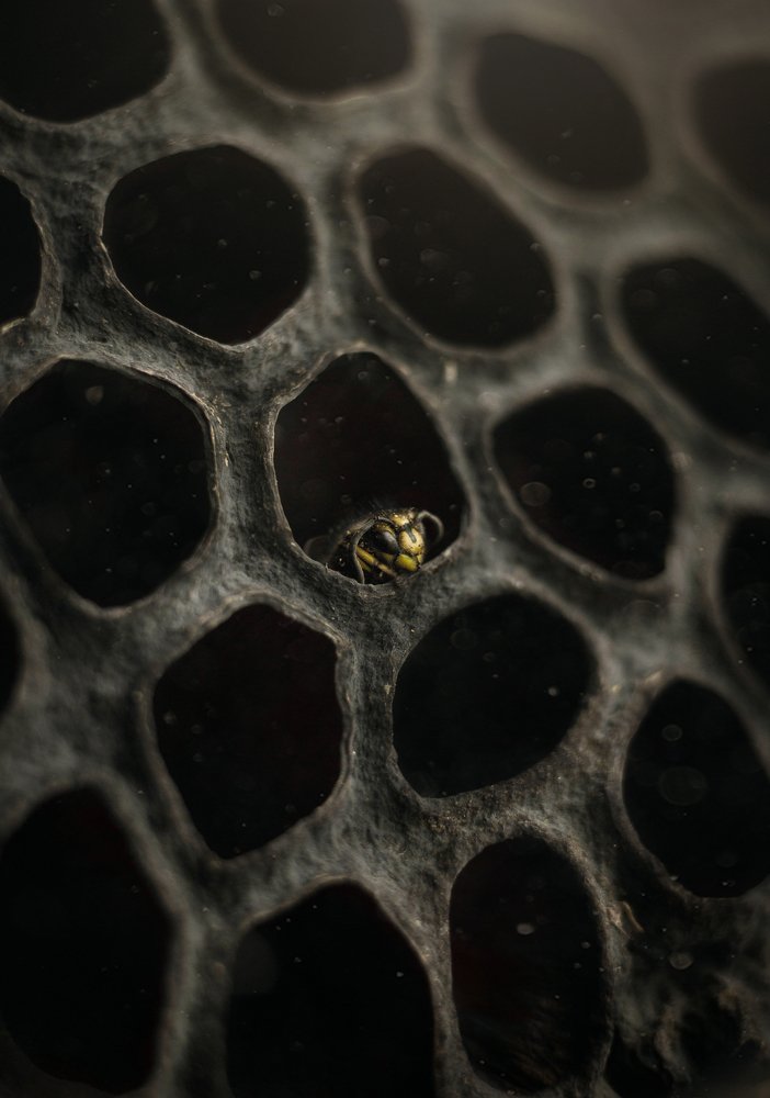 Photograph by Svoboda Andreeva