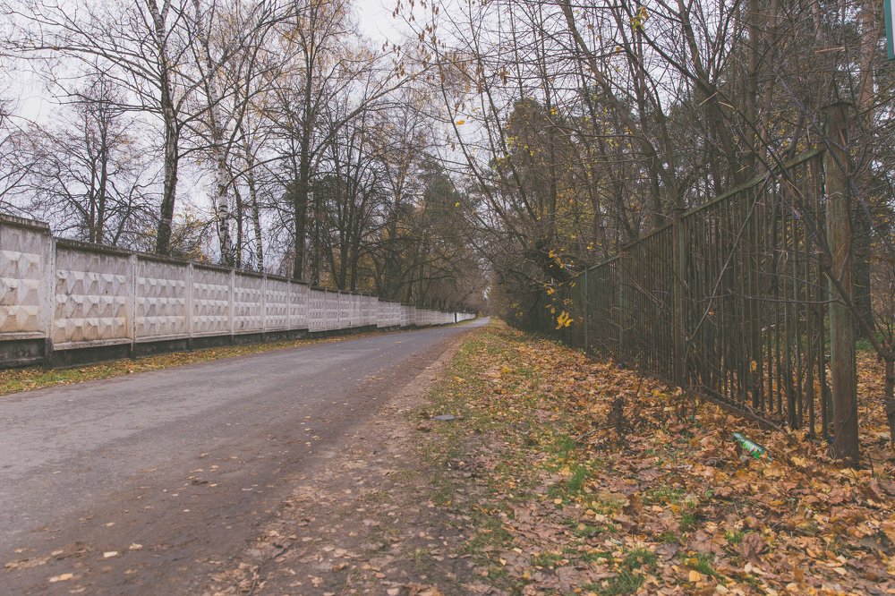 Photograph by Алекса