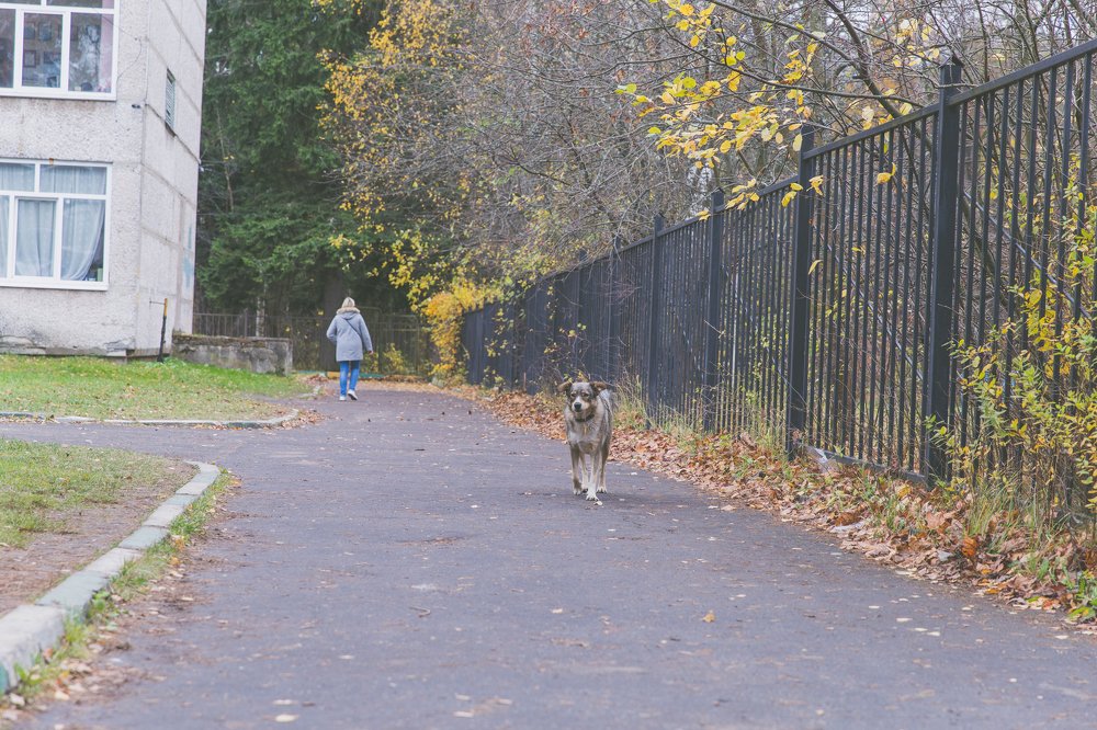 Photograph by Алекса