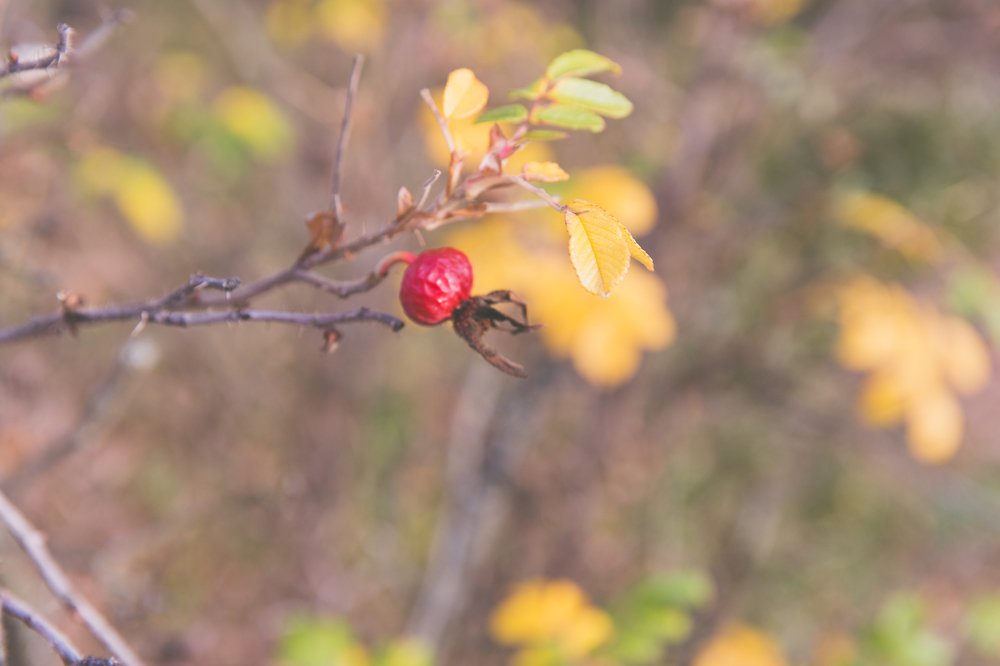 Photograph by Алекса