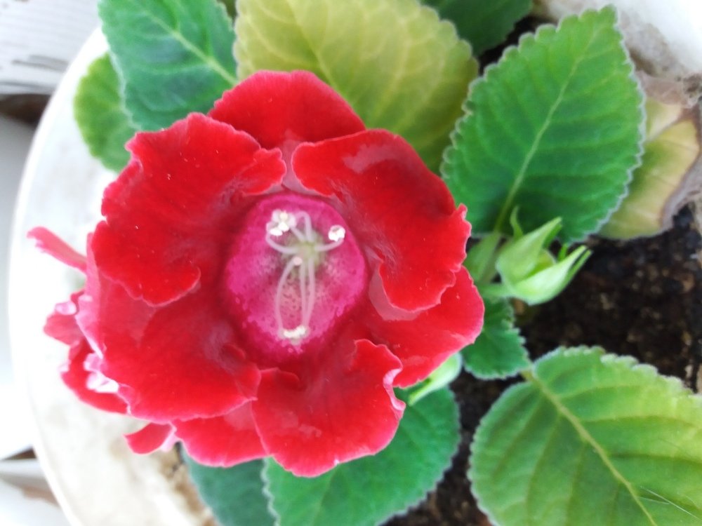 Photograph by оксана