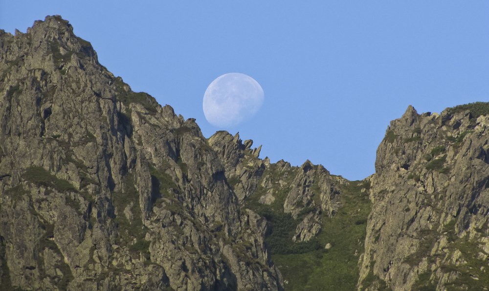 Фотография автора Comșa Bogdan