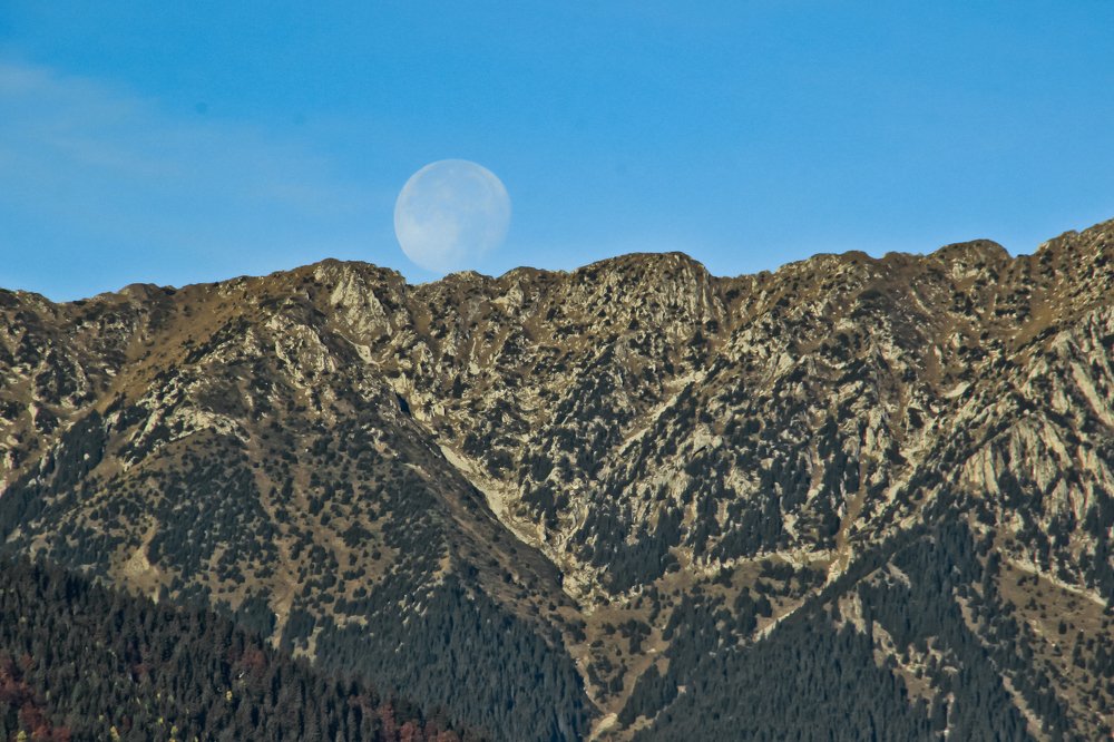 Фотография автора Comșa Bogdan