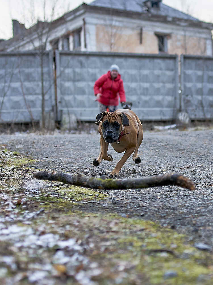 Photograph by Елена Мормоль