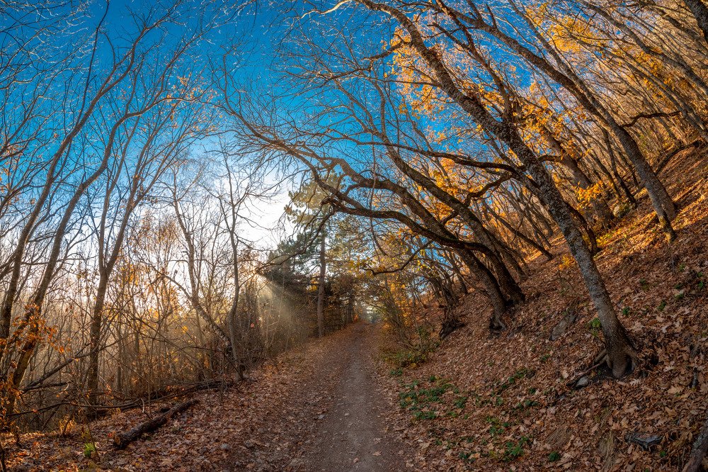 Photograph by Владимир Ганзиков