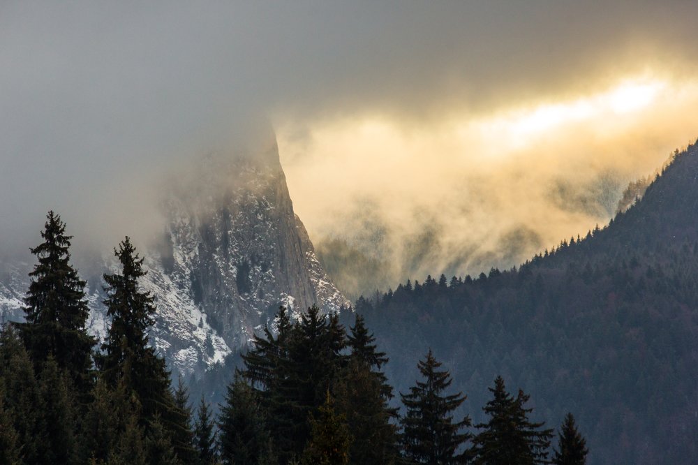 Фотография автора Comșa Bogdan
