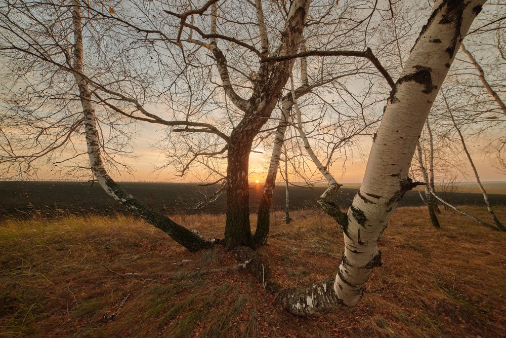 Фотография автора Женя Лузгин