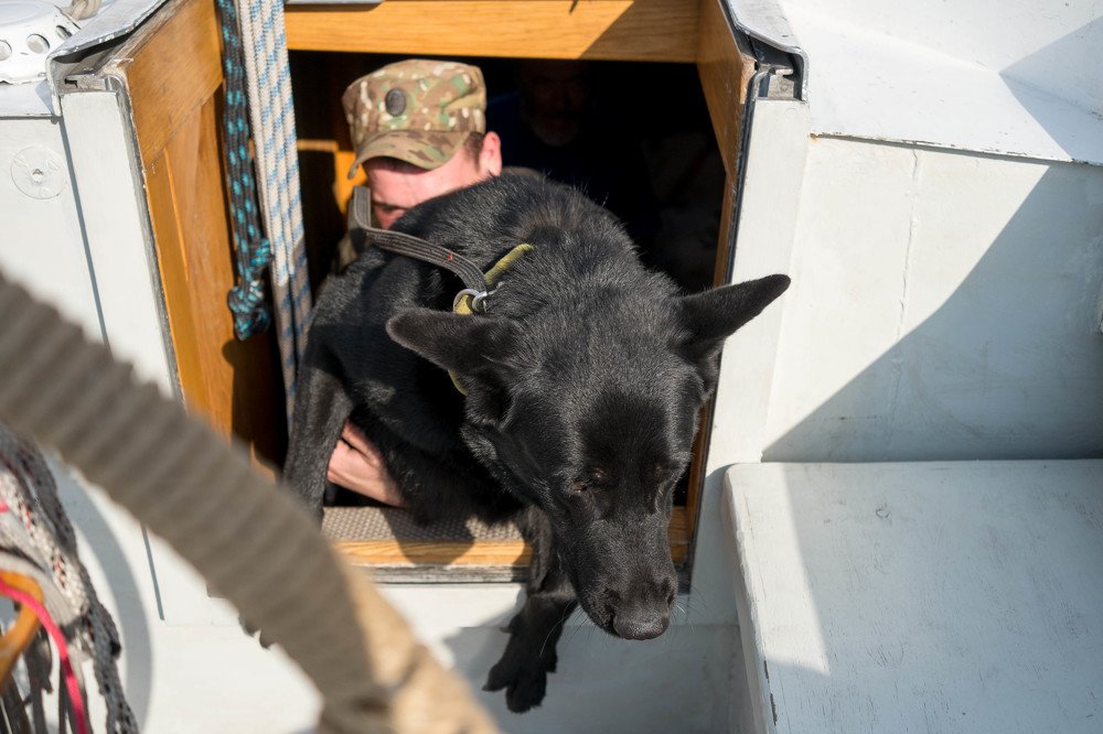 Photograph by Мария Причиненко