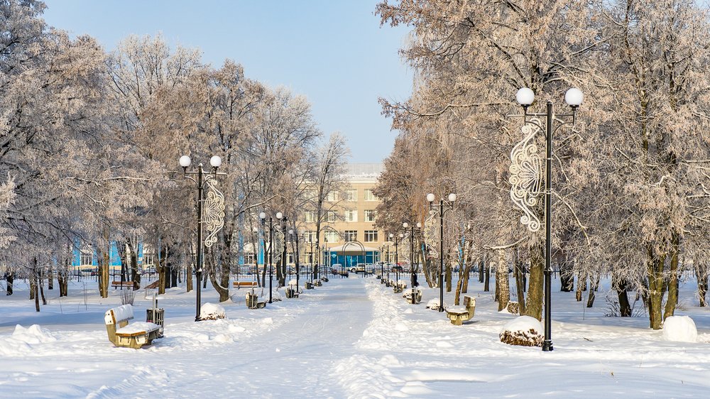 Зима в Ливнах.