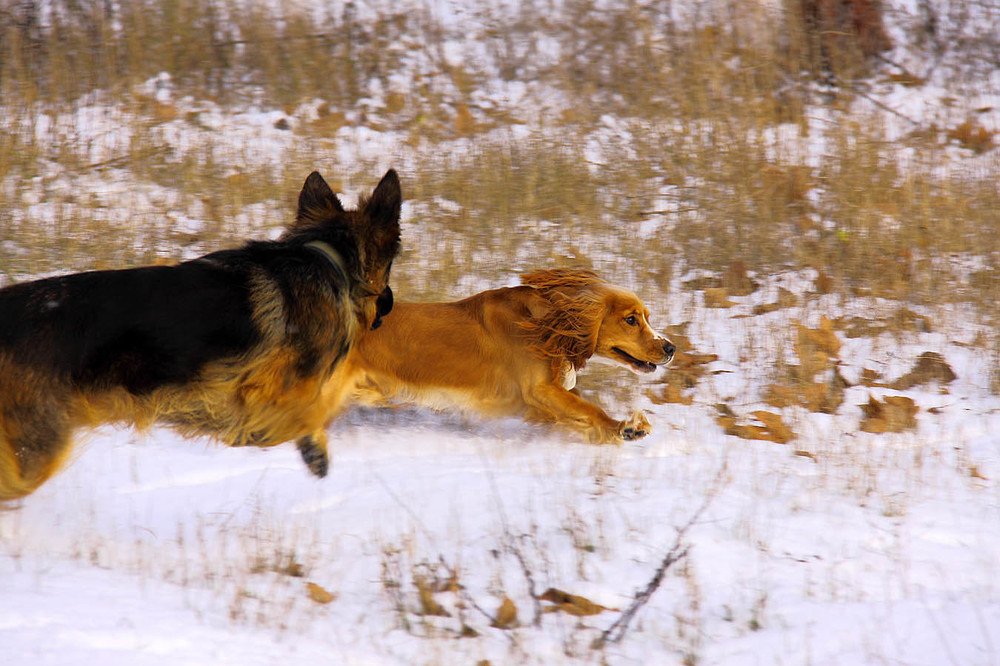 Photograph by Михаил Баевский