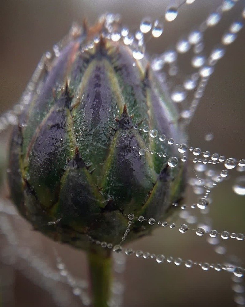 Просто осень....