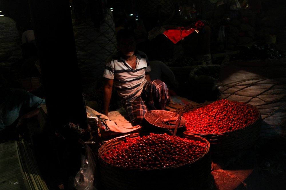 Фотография автора Suvam Saha