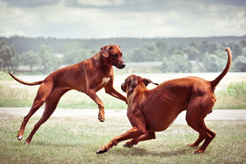 Photograph by Ольга Хазай